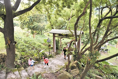 增城派潭鎮樟洞坑村環境優美,風景宜人。廣州日報全媒體記者喬軍偉攝(資料圖片)