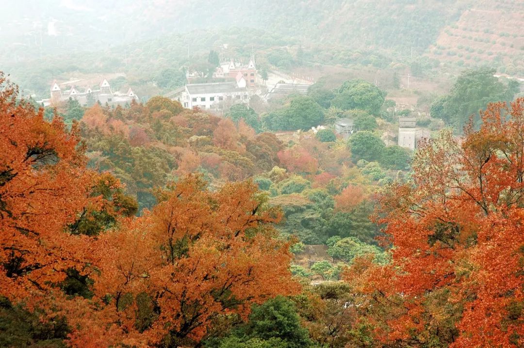 201810111539229400138988.jpg 201810111539229400138988.jpg