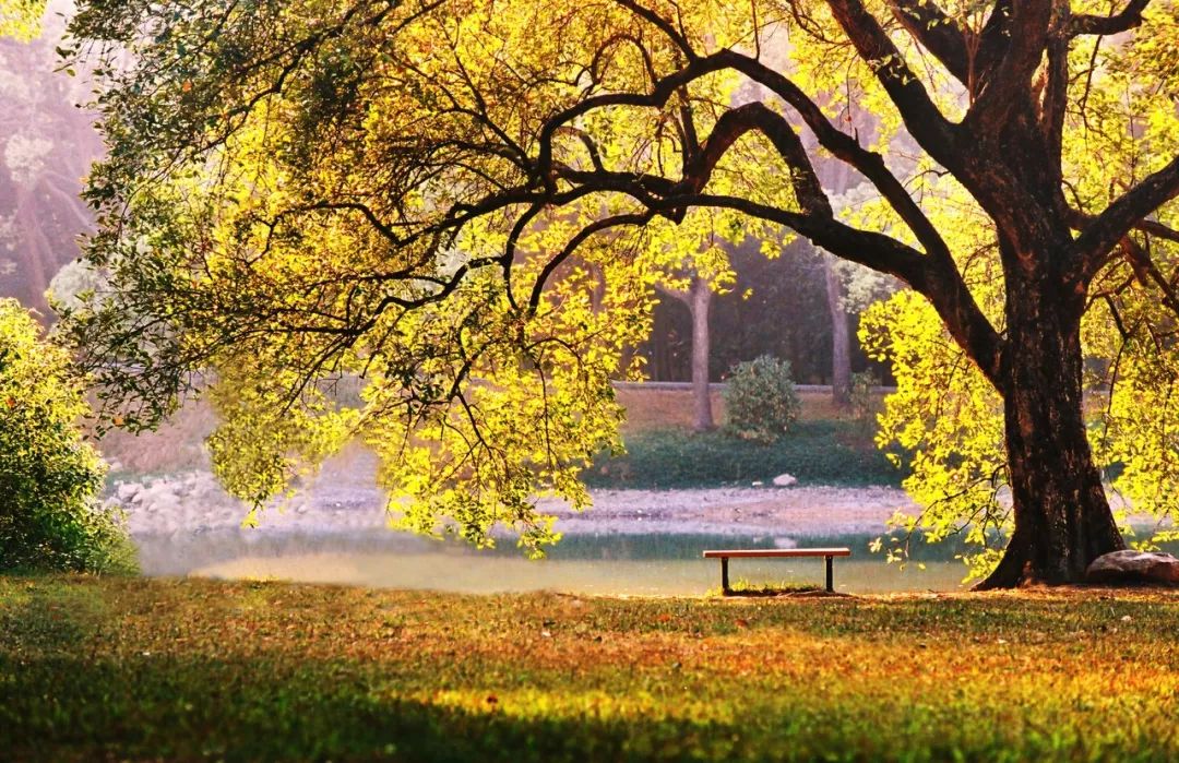 201810111539229426132606.jpg 201810111539229426132606.jpg