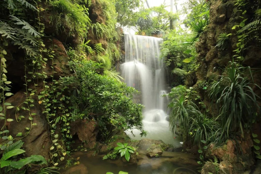 201810111539229461520469.jpg 201810111539229461520469.jpg