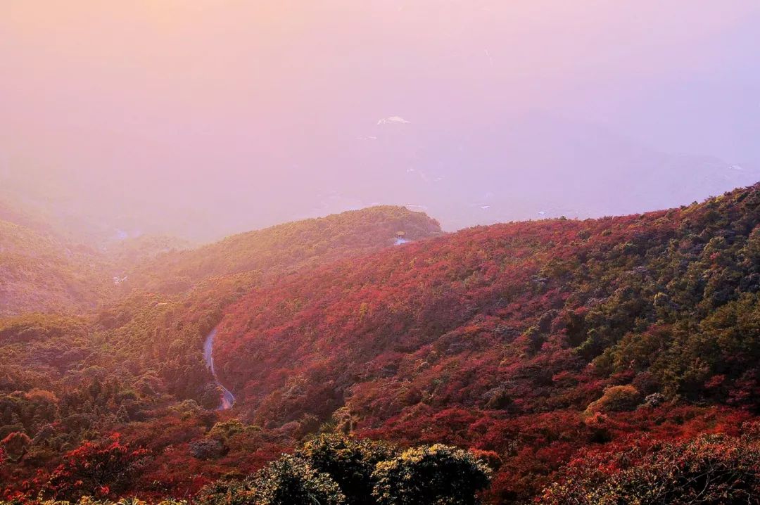 201810111539229400541554.jpg 201810111539229400541554.jpg