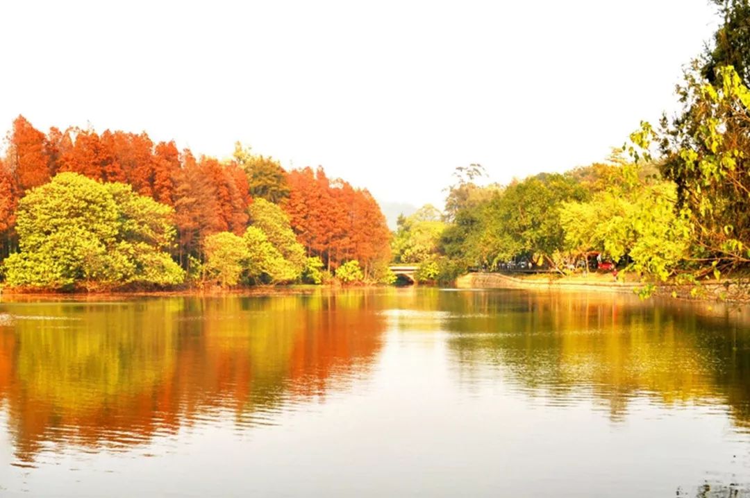 201810111539229528821132.jpg 201810111539229528821132.jpg