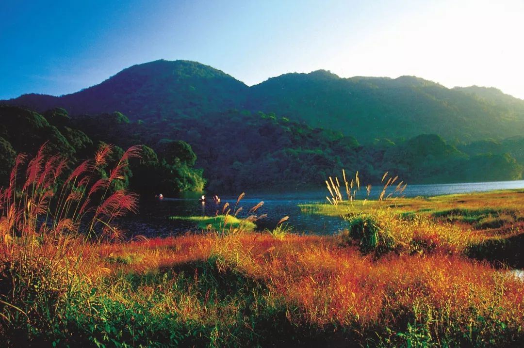 201810111539229401307849.jpg 201810111539229401307849.jpg