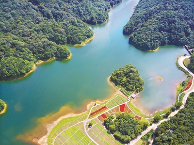 石門國家森林公園 廣州日報全媒體記者楊耀燁 攝