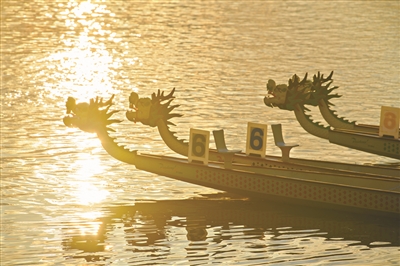 陽光照耀水面,金光閃爍。