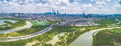 藍(lán)天映襯下,海珠濕地顯得分外翠綠。