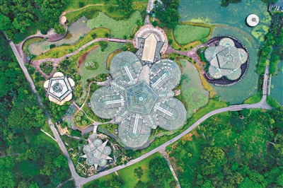 華南植物園熱帶雨林溫室航拍圖