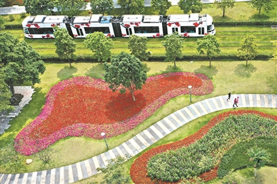 有軌電車串聯起海珠區一片生態美景。