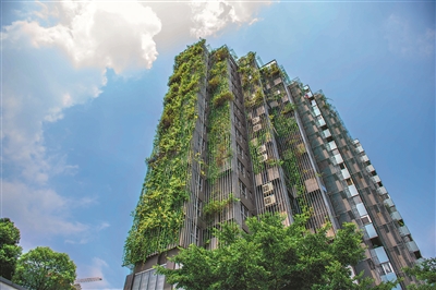 一個以“環保健康”概念設計的新型小區,植物縱向延伸,很有氣勢。