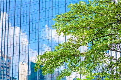 都市之中,高樓大廈間的綠意尤其顯得珍貴而宜人。