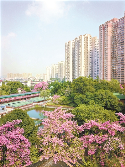 各色鮮花映襯綠葉,帶出一種宜人的層次感。