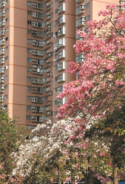 各色鮮花映襯綠葉,帶出一種宜人的層次感。1
