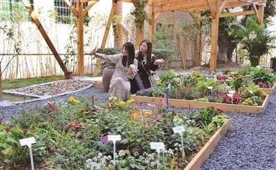 轉(zhuǎn)存圖片