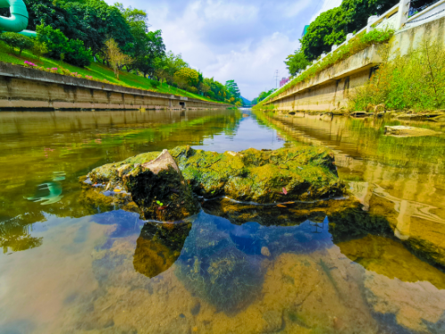 廣州用“繡花功夫”治水 提升城市精細化管理水平1999.png