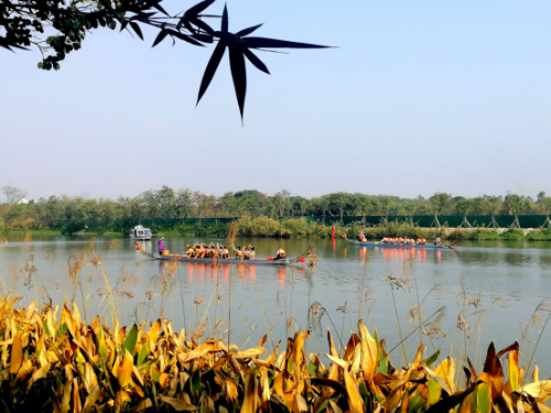 廣州用“繡花功夫”治水 提升城市精細化管理水平3713.png