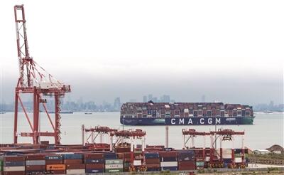 南沙：積蓄向上生長的力量