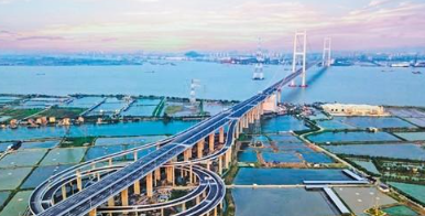 林克慶到南沙區(qū)調(diào)研