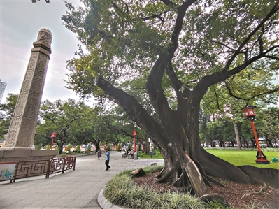 游龍休憩，有脊有鱗