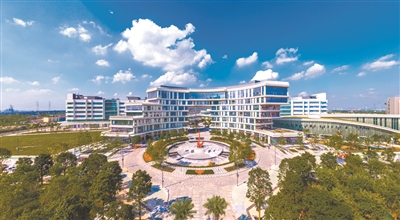 廣州南沙：高質量發展主陣地 跑好開局“第一棒”