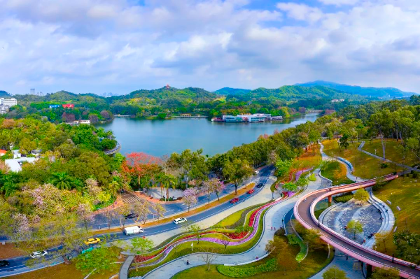 來麓湖公園邂逅粉色浪漫
