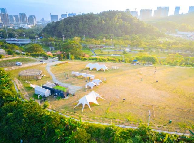 含“花”量超高！這些廣州最美賞花點等你來解鎖