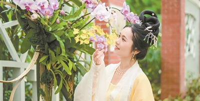 名園廣州蘭圃再出圈 “蘭緣盛薈·花開越秀”文旅周讓“小蘭花”創造大收益