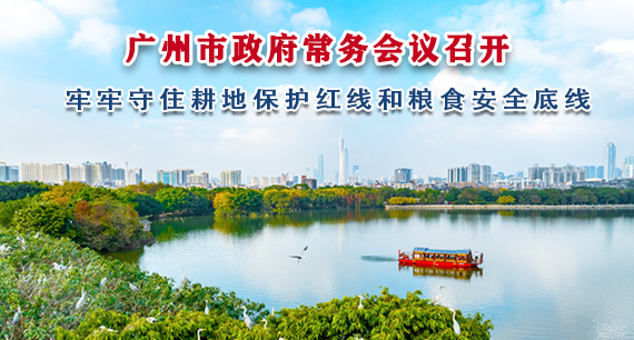 【一圖讀懂】一圖讀懂16屆72次市政府常務會議