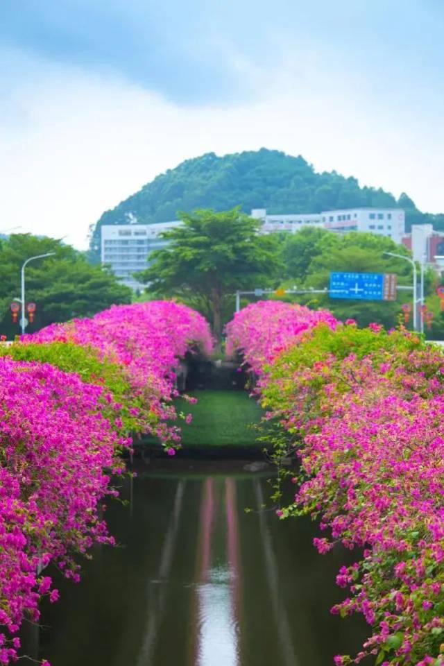 攝于:蕉門滘橋 攝于:蕉門滘橋