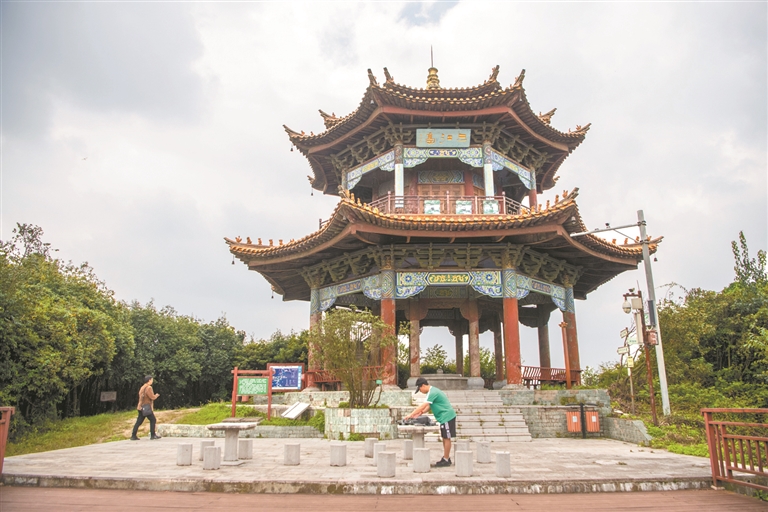 12788719_zhangjing_1729591895689_s