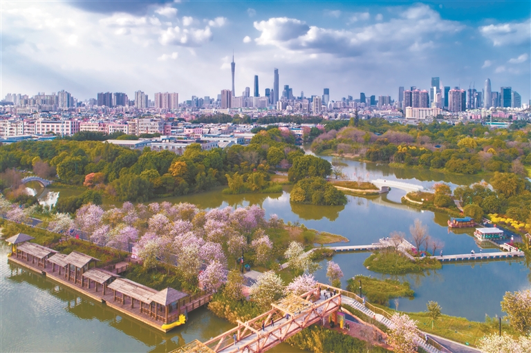 12839257_oujy_1730214292405_s