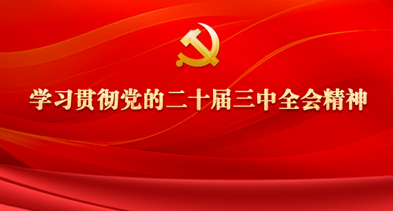 學(xué)習(xí)貫徹黨的二十屆三中全會(huì)精神