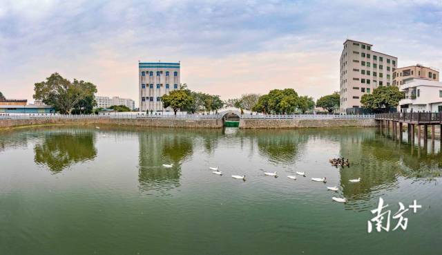 來源:白云區攝影家協會