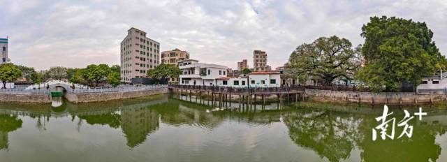 來源:白云區攝影家協會 來源:白云區攝影家協會