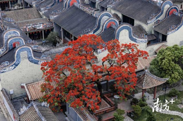 來源:白云區攝影家協會 來源:白云區攝影家協會