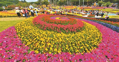 廣州新年生機十足 多處賞花景點游人如織