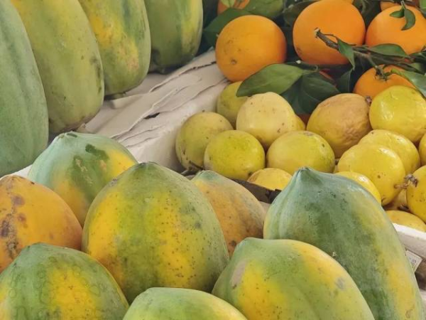 圖源@fun沙小隊(duì)