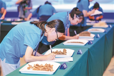 粵港澳大灣區(qū)職業(yè)技能大賽開幕