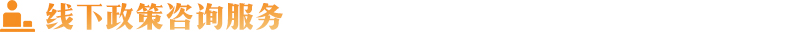 線下政策咨詢服務